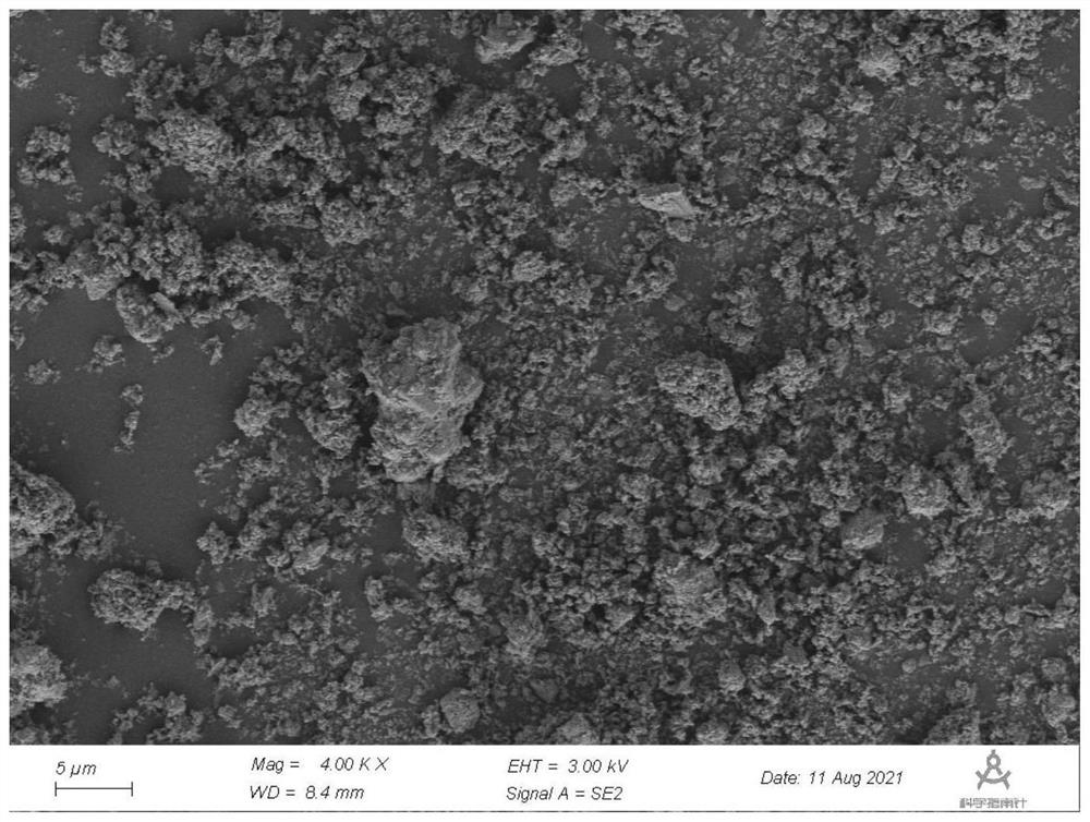 Method for extracting potassium humate from vegetable leaves and preparing iron-carbon composite material and application