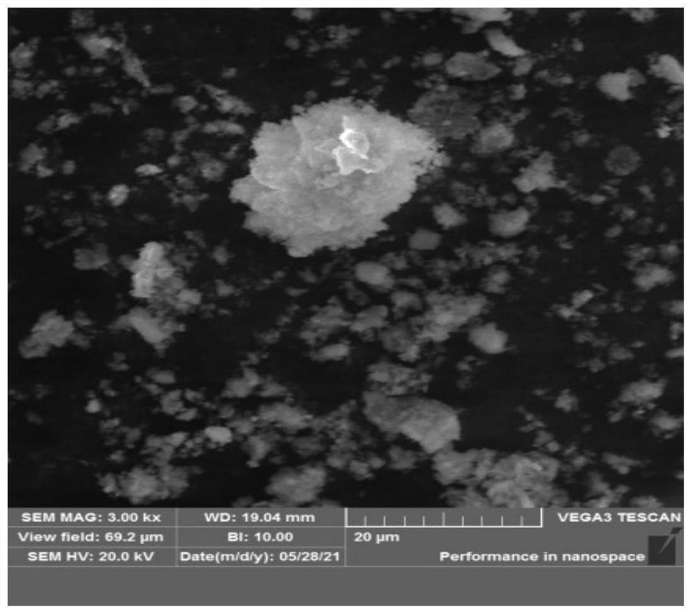 Method for extracting potassium humate from vegetable leaves and preparing iron-carbon composite material and application