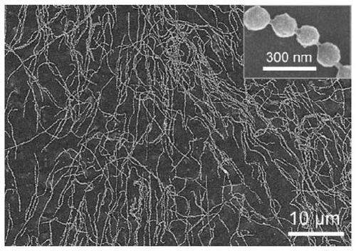 Method for regulating particle spacing of Fe3O4@PVP@PNIPAM magnetic photonic crystal nano-chain