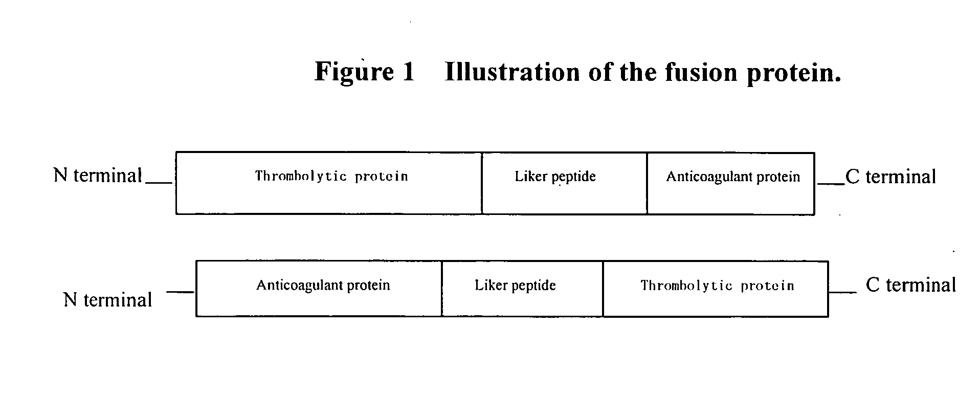 Fused protein with the function of both hemolysis and anticoagulation and use of it