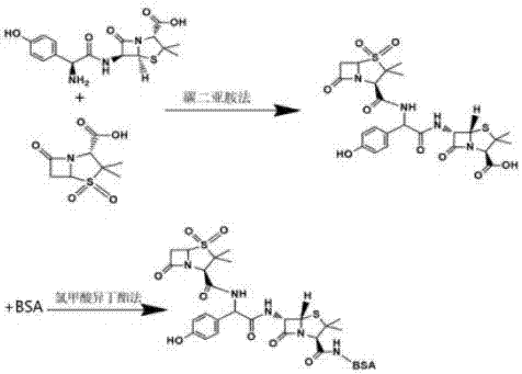 Synthesis method of amoxicillin artificial antigen