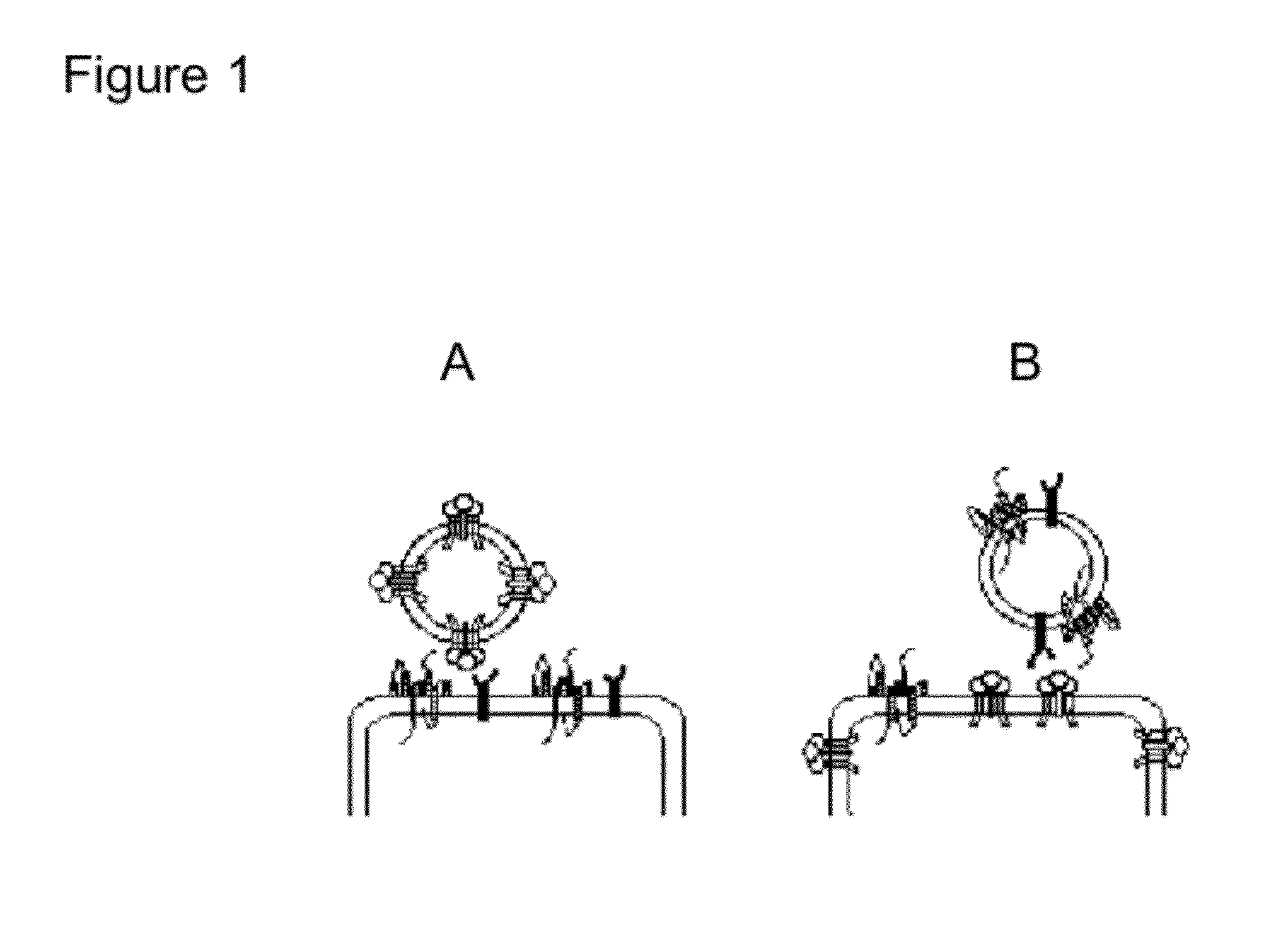 Method for the preparation of virus-like particles (VLPS) comprising heterologous multiple membrane spanning proteins