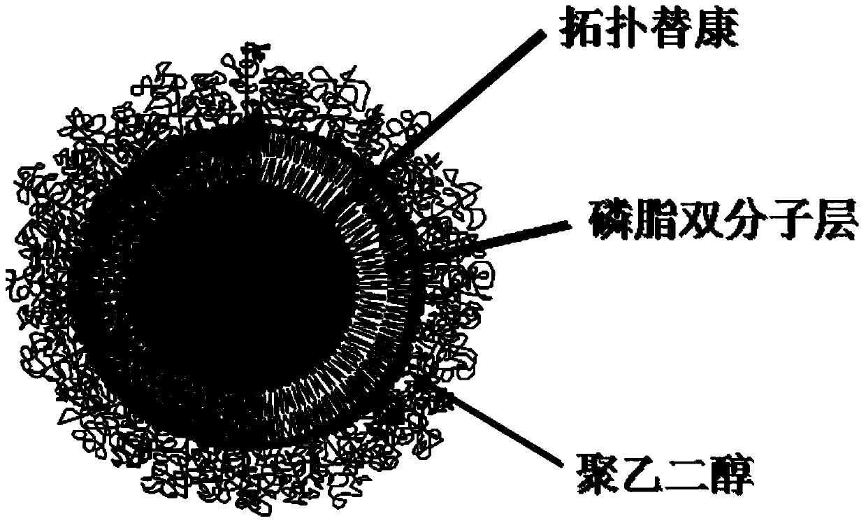 A kind of topotecan hydrochloride liposome nano preparation and preparation method thereof