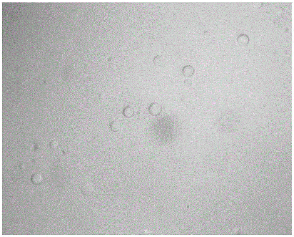 Extraction method of halogeton mesophyll cell vacuoles