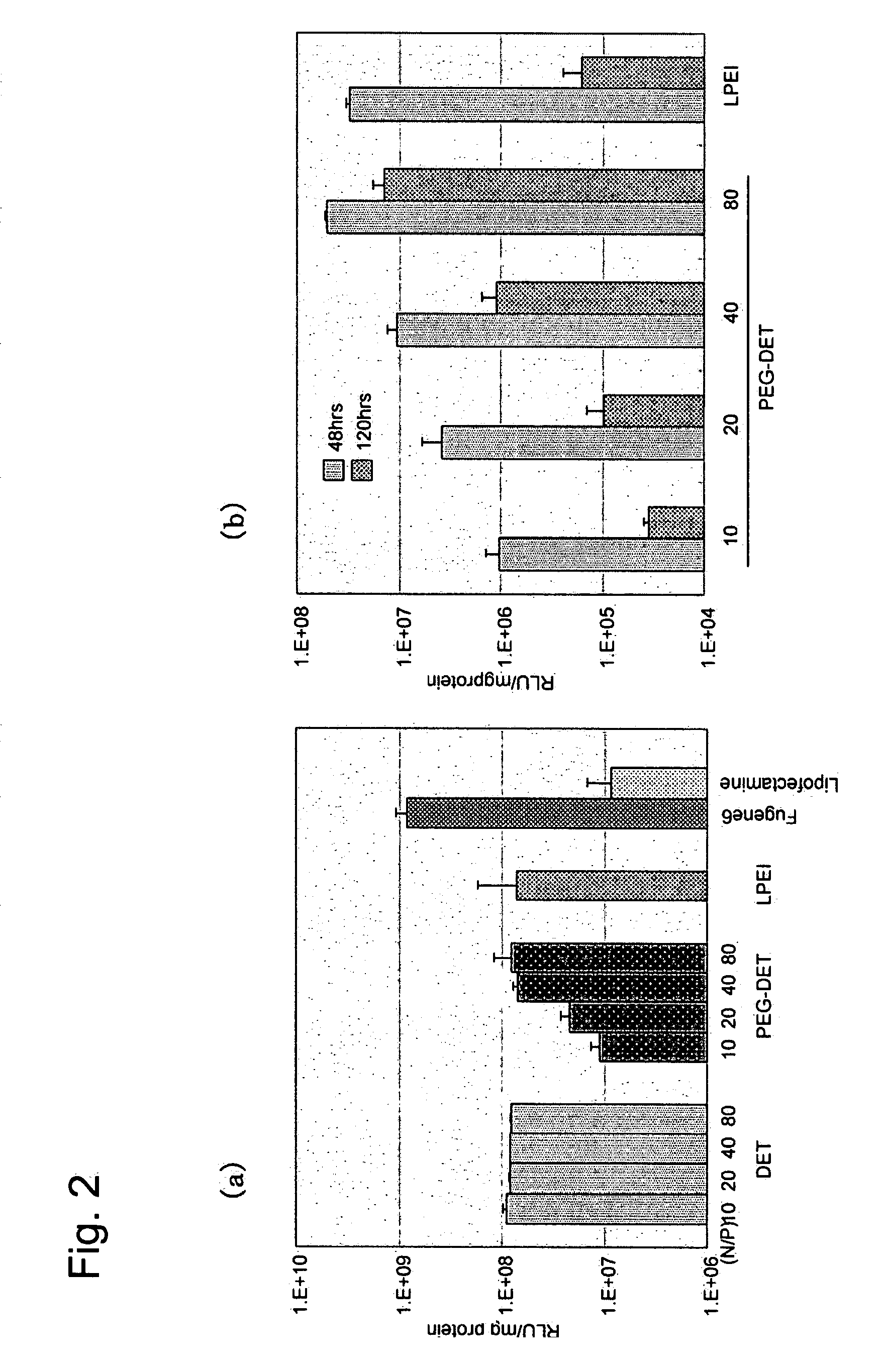 Polycationically Charged Polymer and the Use of the Same as a Carrier for Nucleic Acid