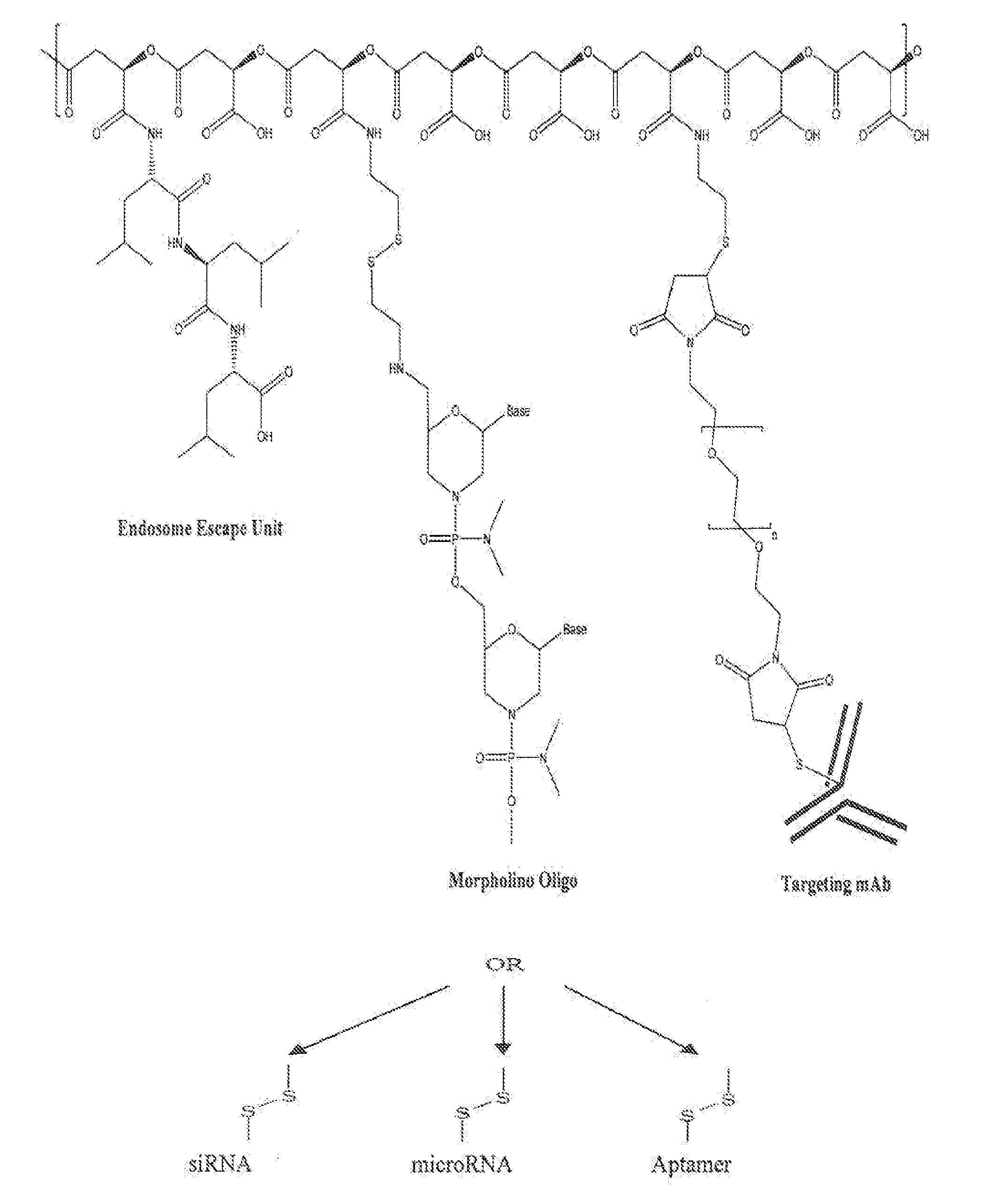 Poly(beta malic acid) with pendant leu-leu-leu tripeptide for effective cytoplasmic drug delivery