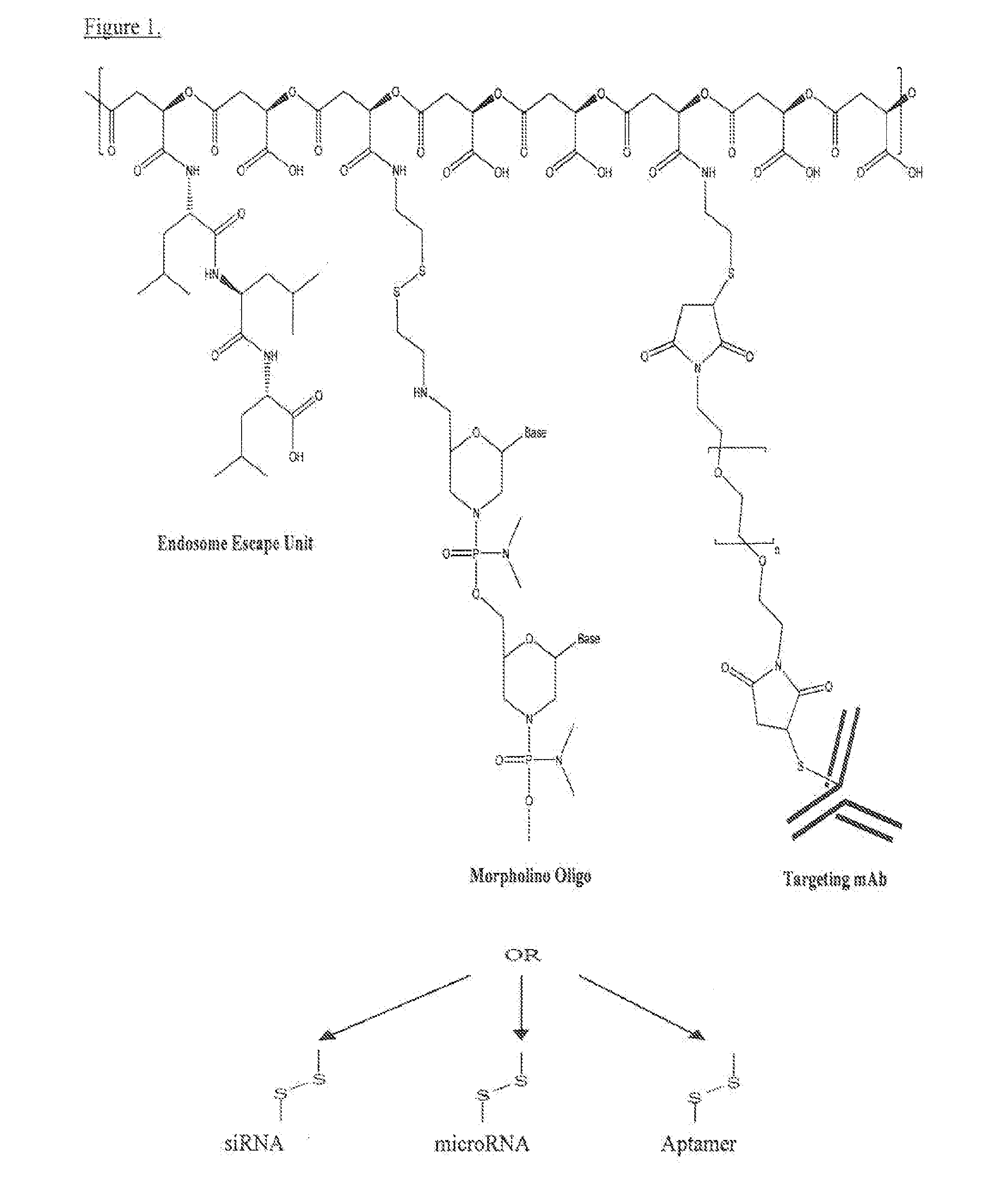 Poly(beta malic acid) with pendant leu-leu-leu tripeptide for effective cytoplasmic drug delivery