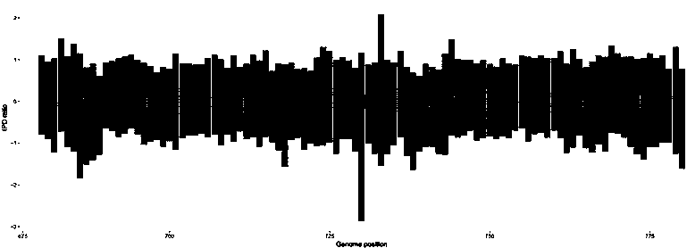 Deinococcus radiodurans DNA transmethylase