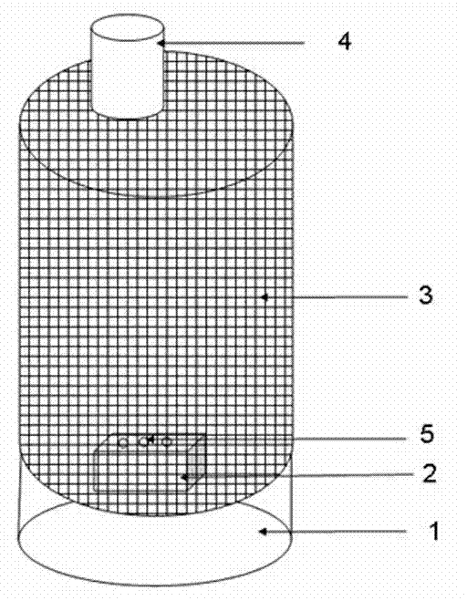 A kind of method of raising Lepidoptera insect