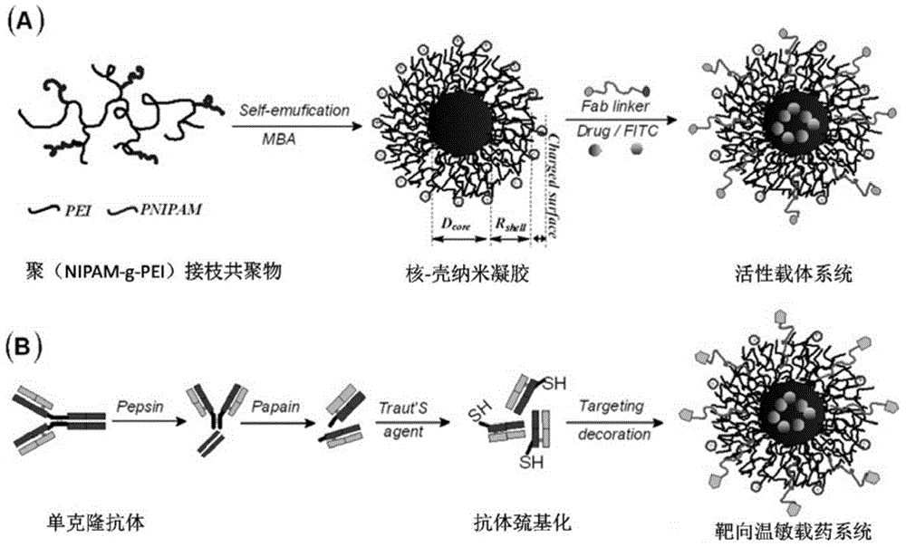 Preparation method and antitumor enhancement application of dual-targeting delivery chemotherapeutic drug nanosystem