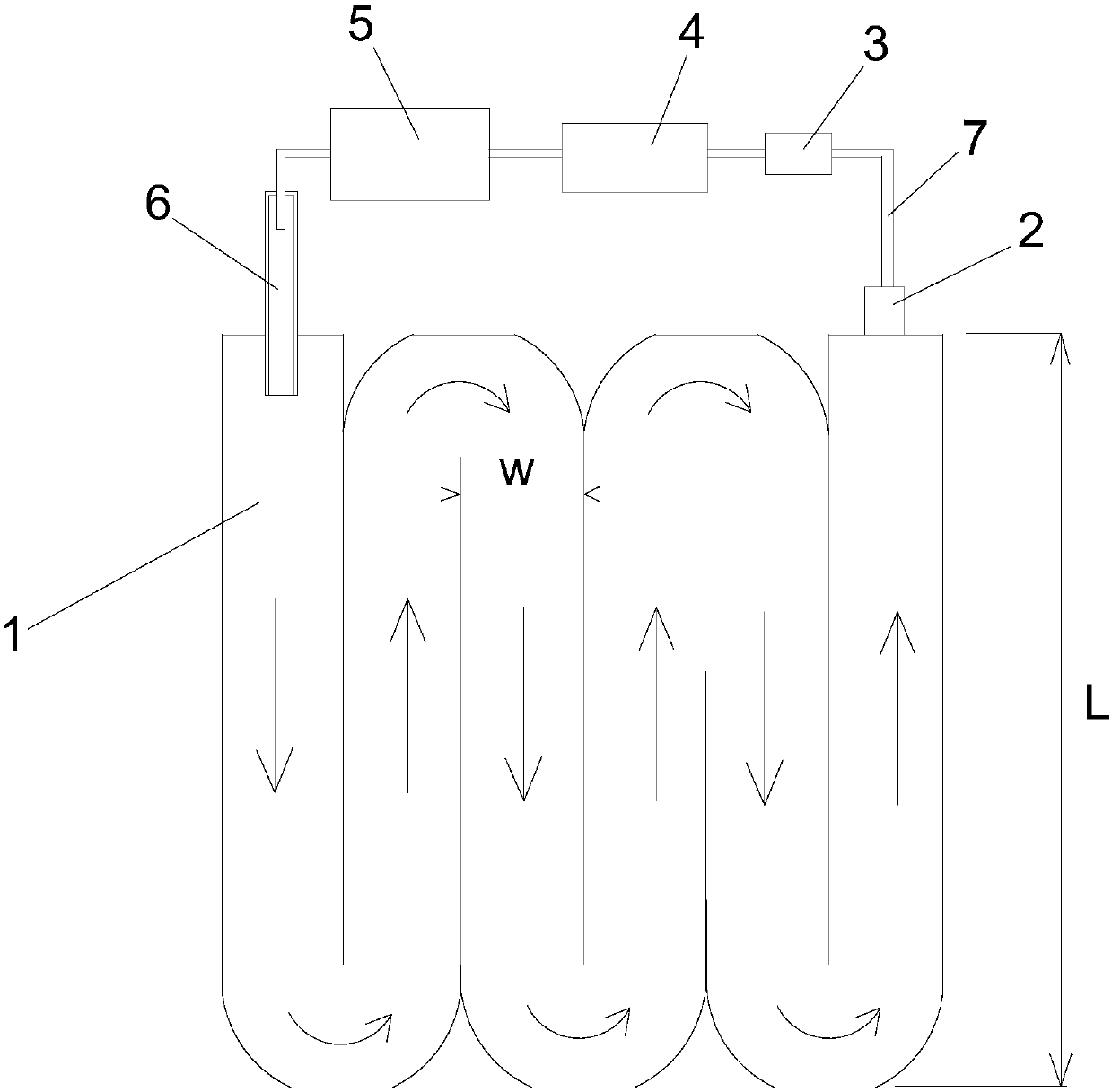 Antibiotic-free breeding method of tilapia