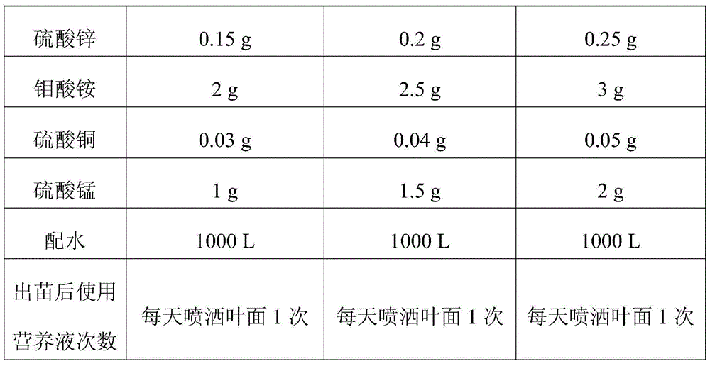 A kind of cultivation method for rapid propagation of vine