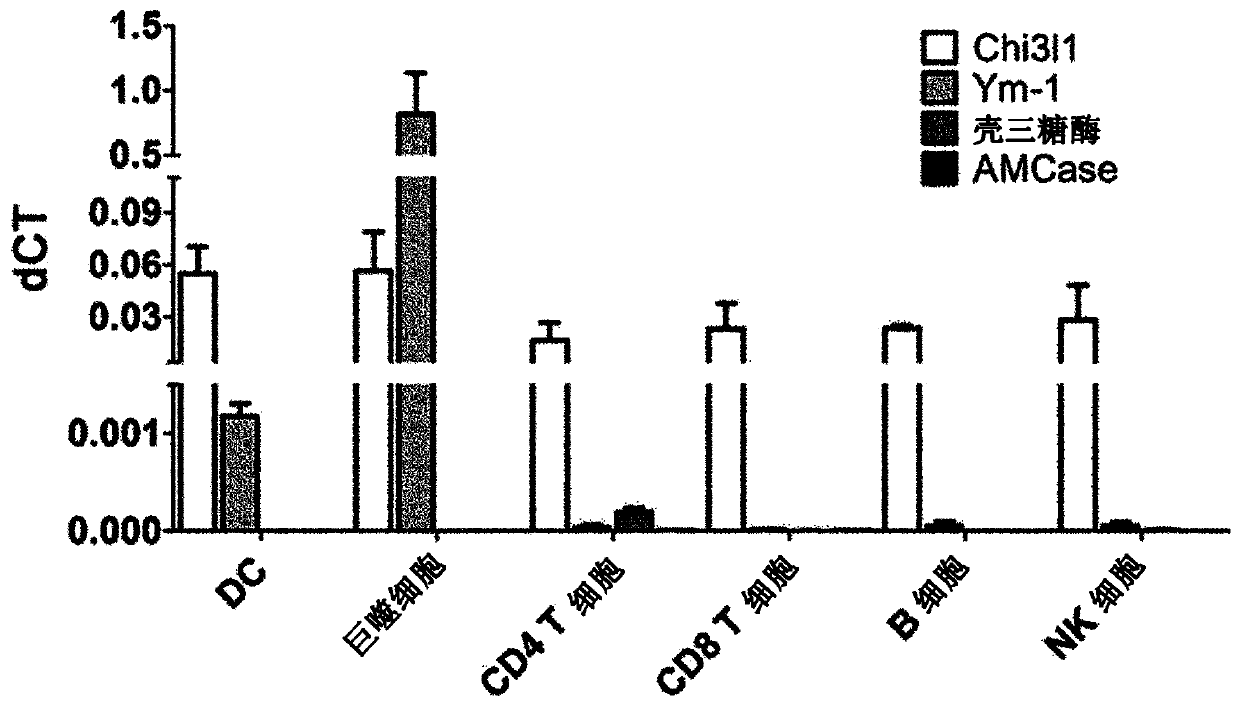 Pharmaceutical composition for preventing or treating cancer metastasis to lung, containing chi3l1 inhibitor as active ingredient