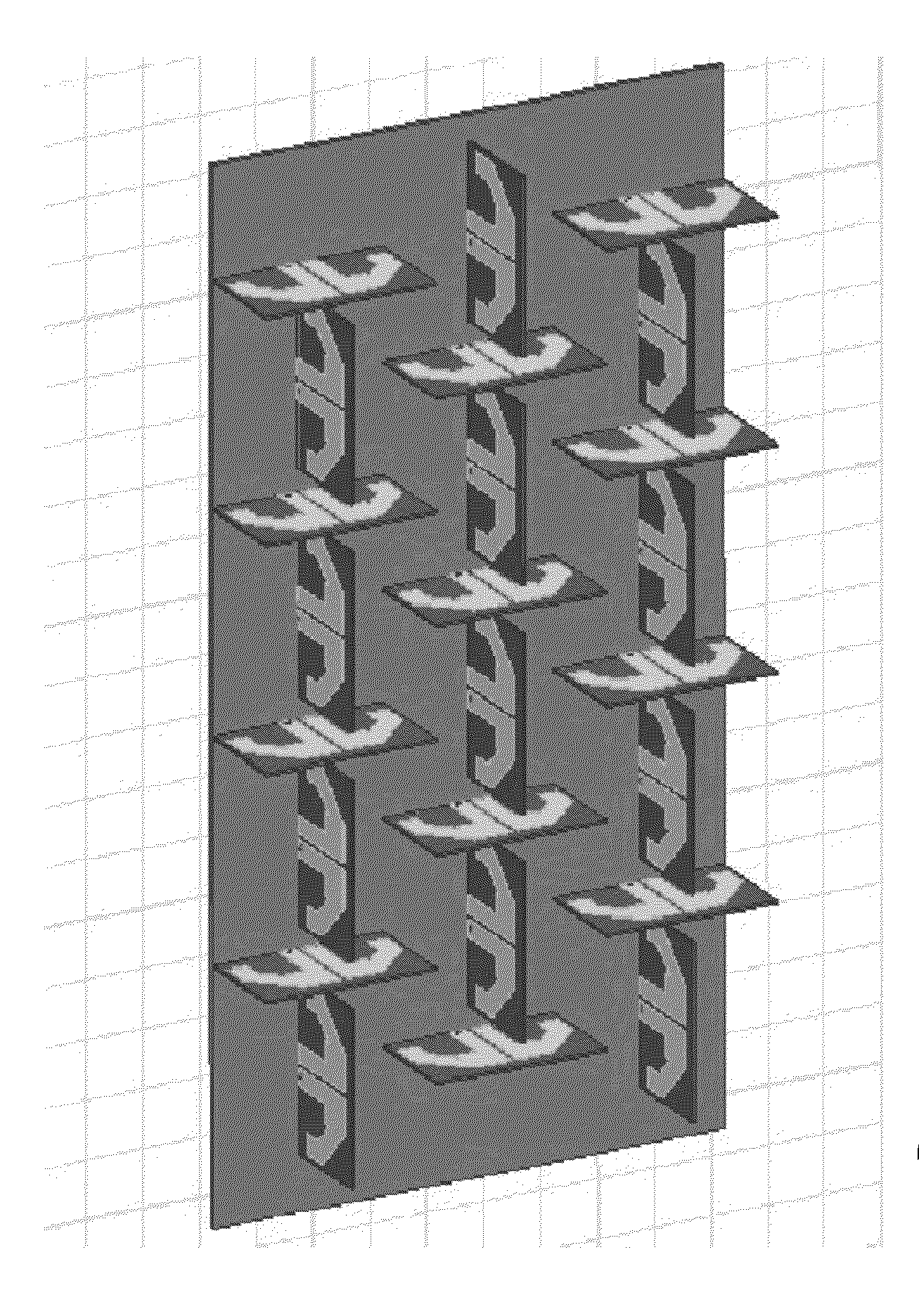 Antenna system providing simultaneously identical main beam radiation characteristics for independent polarizations