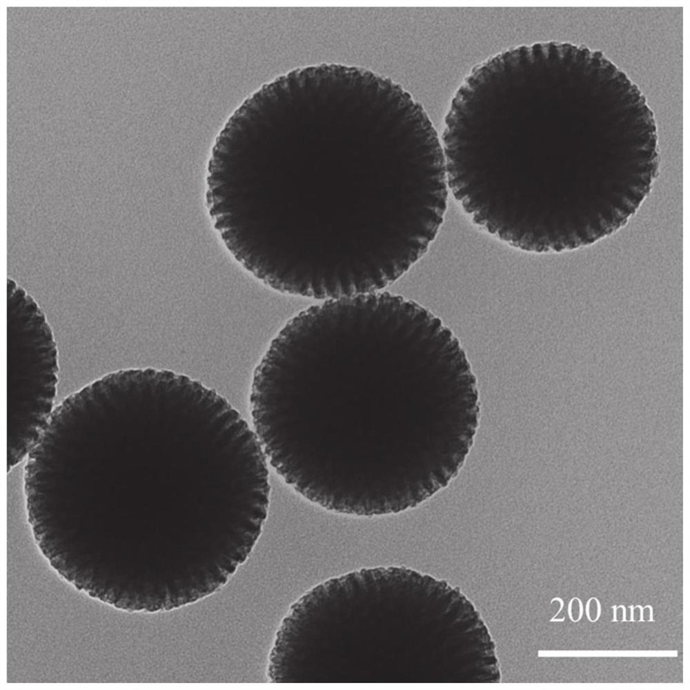 Mesoporous nano carbon sphere as well as preparation method and application thereof