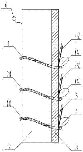 Wild imitation cultivation method of dendrobium officinale tissue culture seedlings