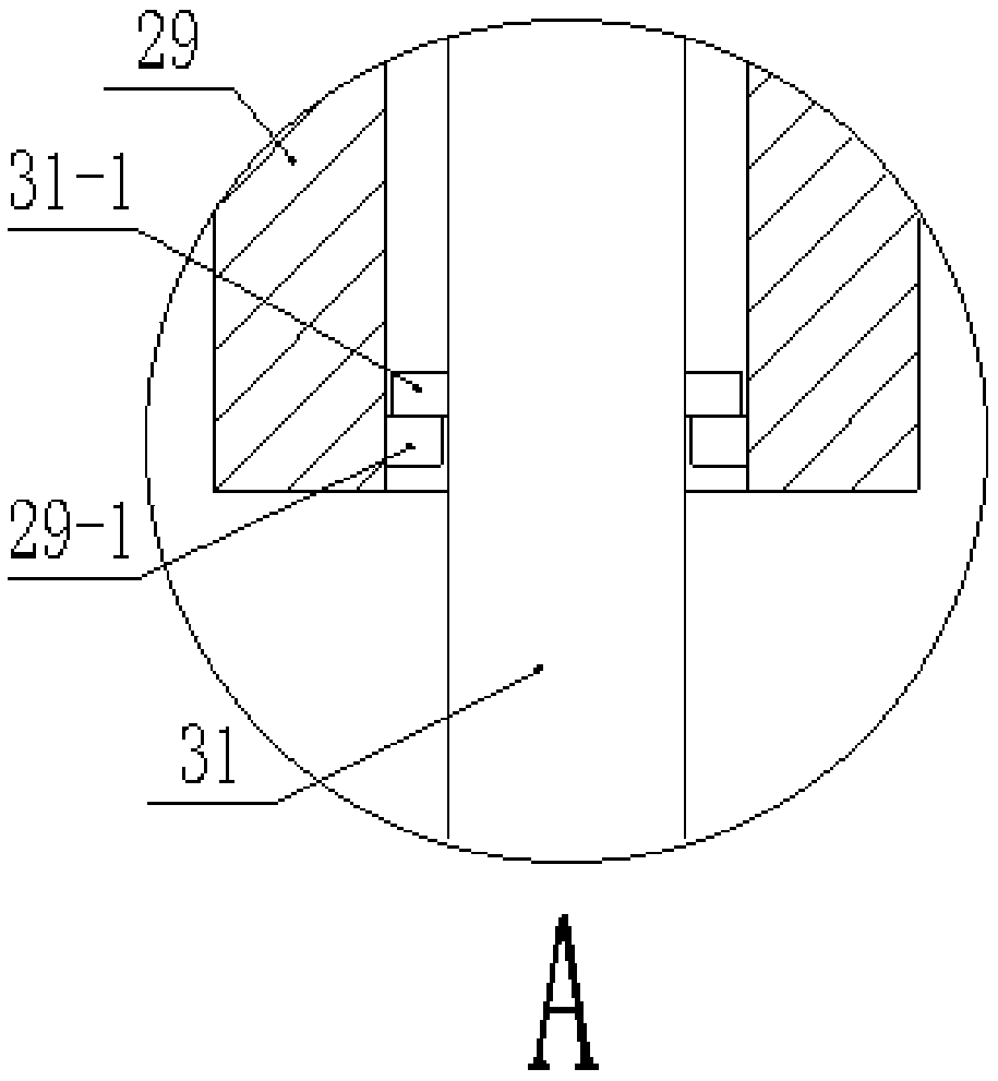 Glass-cutting apparatus