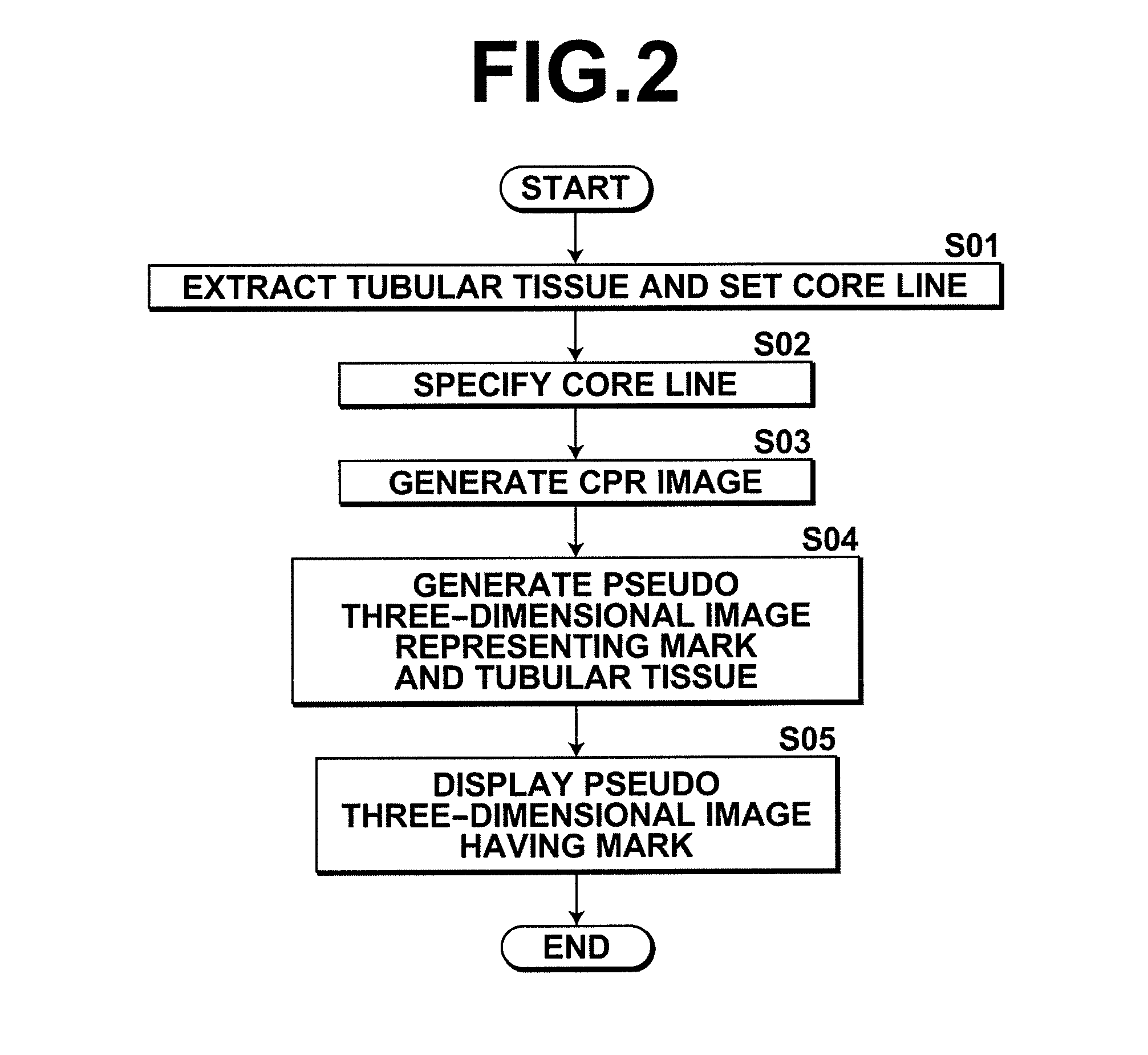 Diagnosis assisting apparatus, diagnosis assisting program, and diagnosis assisting method