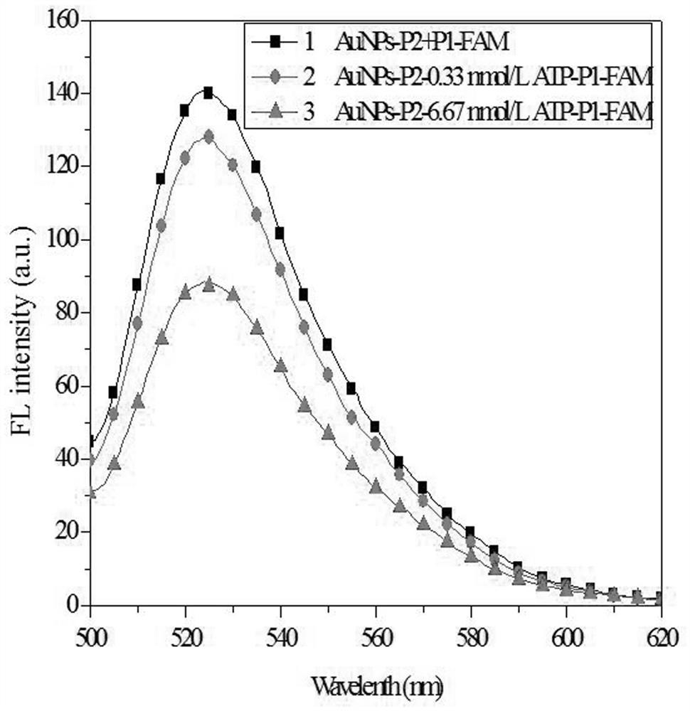 Split aptamer sensor based on nanogold as well as preparation method and application of sensor