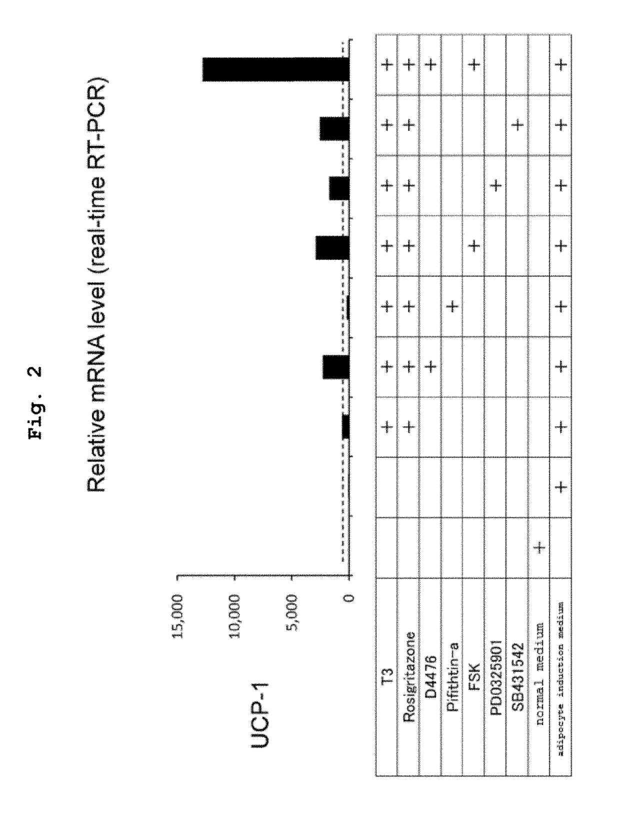 Method for preparing brown adipocyte