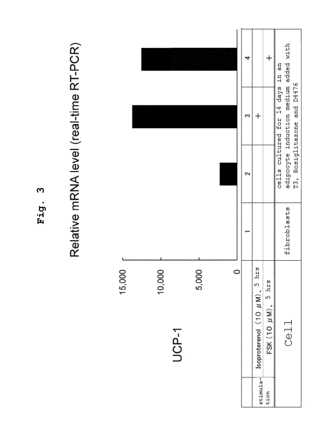 Method for preparing brown adipocyte