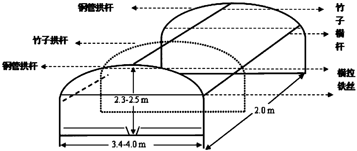 Method for planting Panax notoginseng