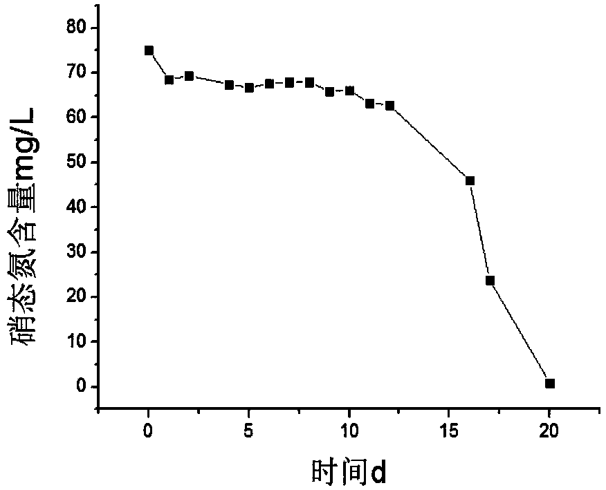 Method for treating high-nitrogen and low-carbon rare earth ore mining wastewater step by step by using microalgae and activated sludge