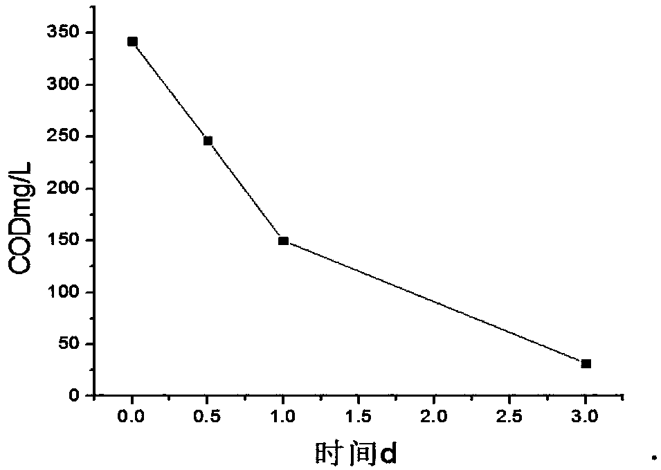 Method for treating high-nitrogen and low-carbon rare earth ore mining wastewater step by step by using microalgae and activated sludge