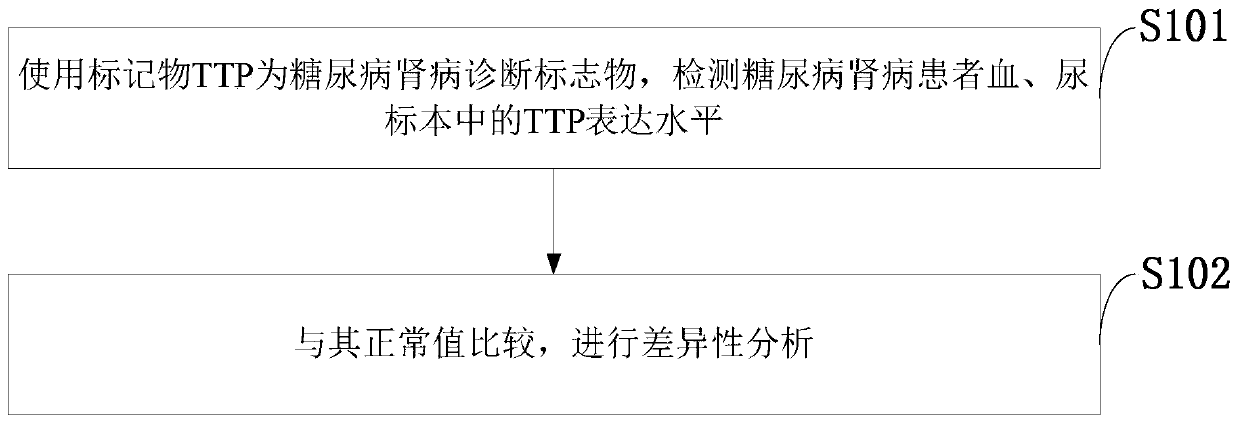 Marker for detecting early diabetic nephropathy and application method of marker