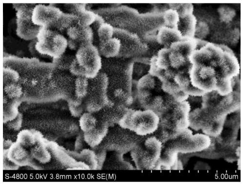 In situ construction method and application of superhydrophobic surface with micro-nano hierarchical structure