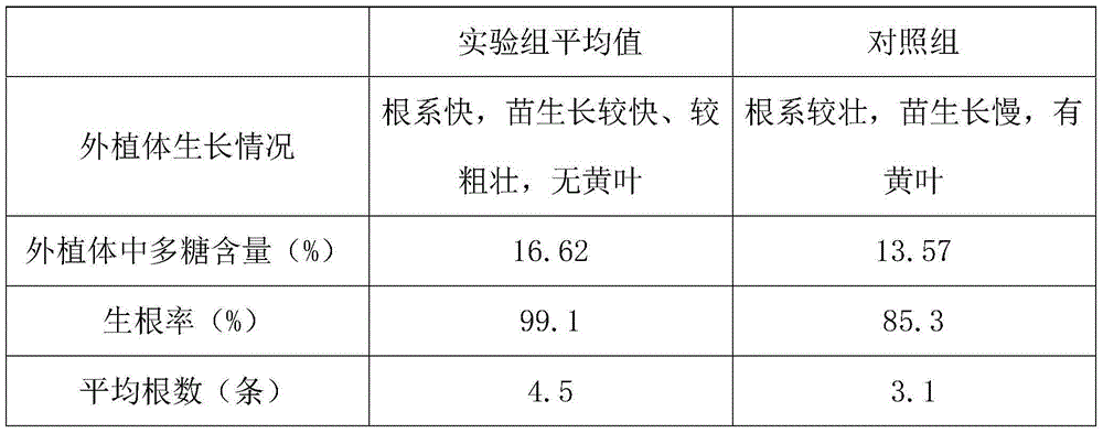 Tissue culture solution for dendrobium candidum