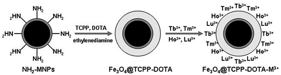 Magnetic nanometer material and application thereof to phosphopeptide enrichment