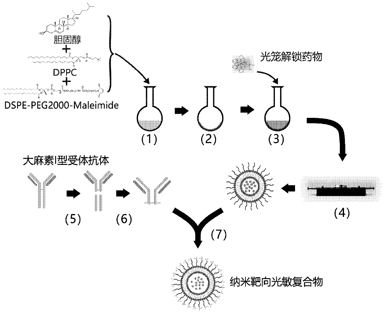 Nano photosensitive compound targeting epileptic cells and regulation and control detection system