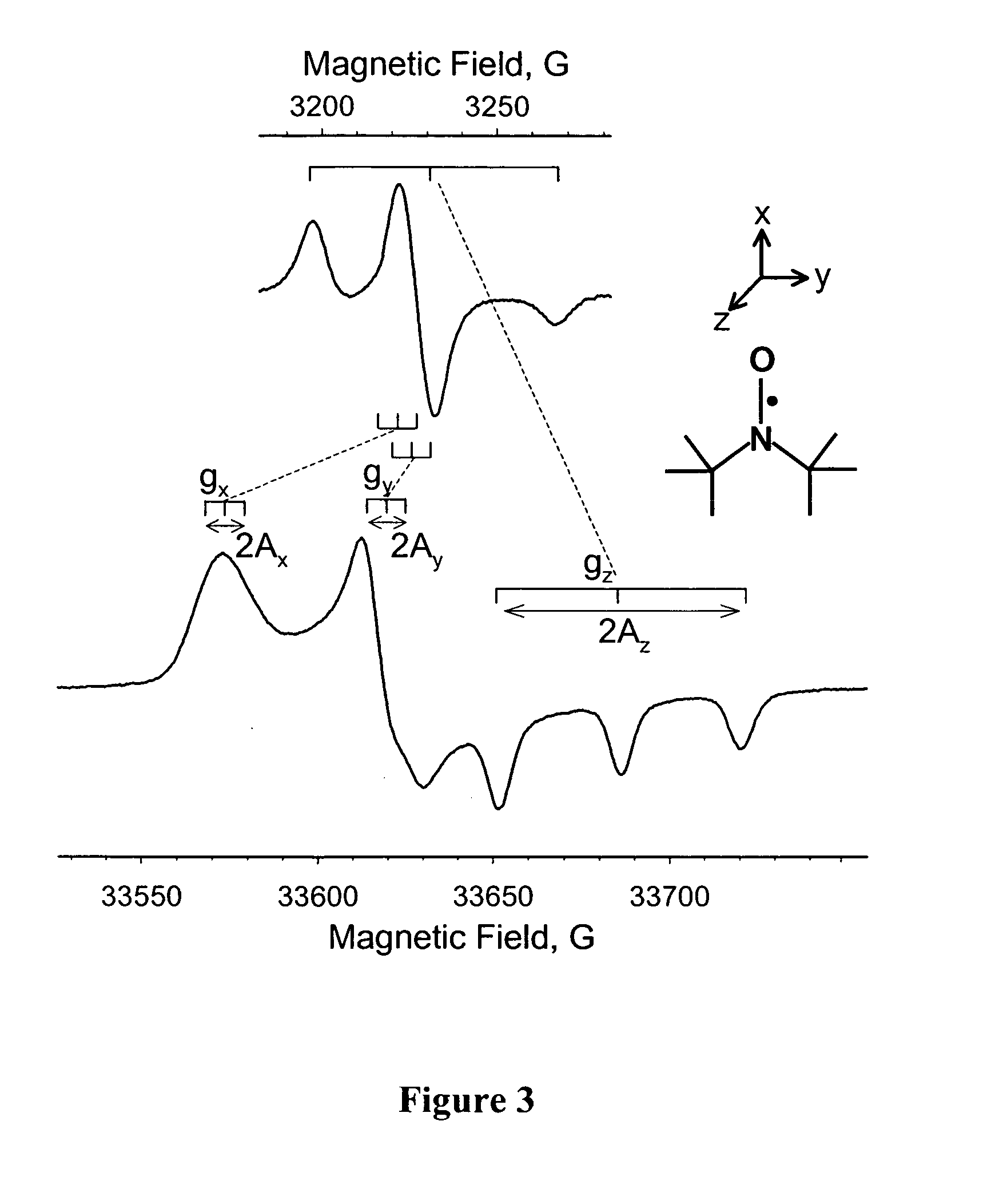 Nanotube structures having a surfactant bilayer inner wall coating