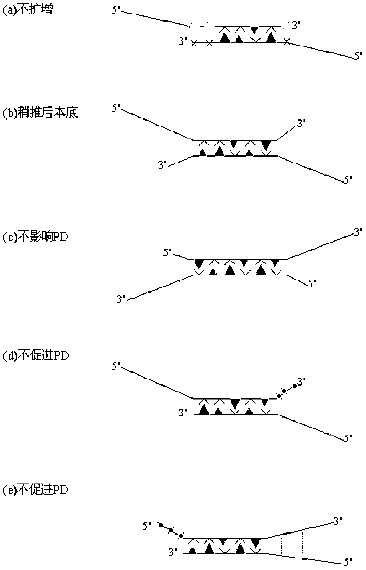 A PCR technique of interfering sequence in the middle of primer