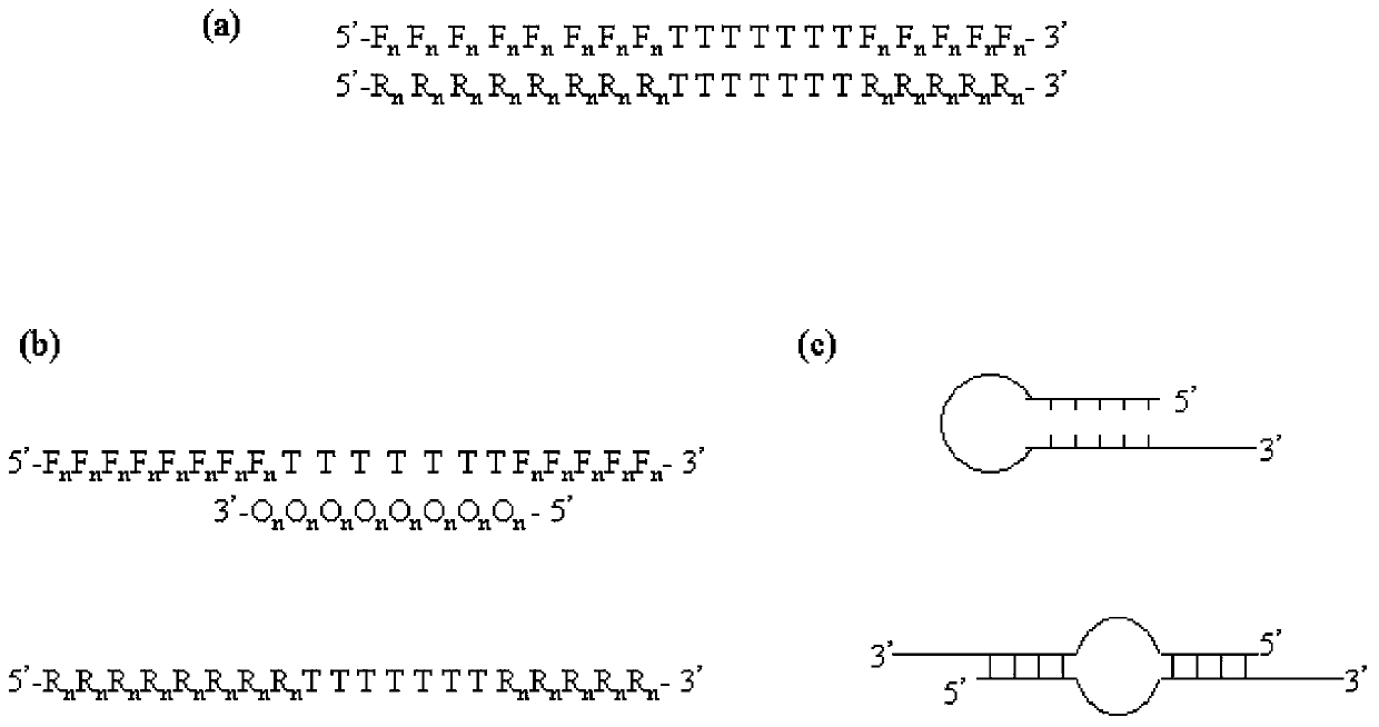 A PCR technique of interfering sequence in the middle of primer