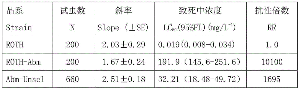 Molecular detection method of resistance of diamond back moth against avermectin target