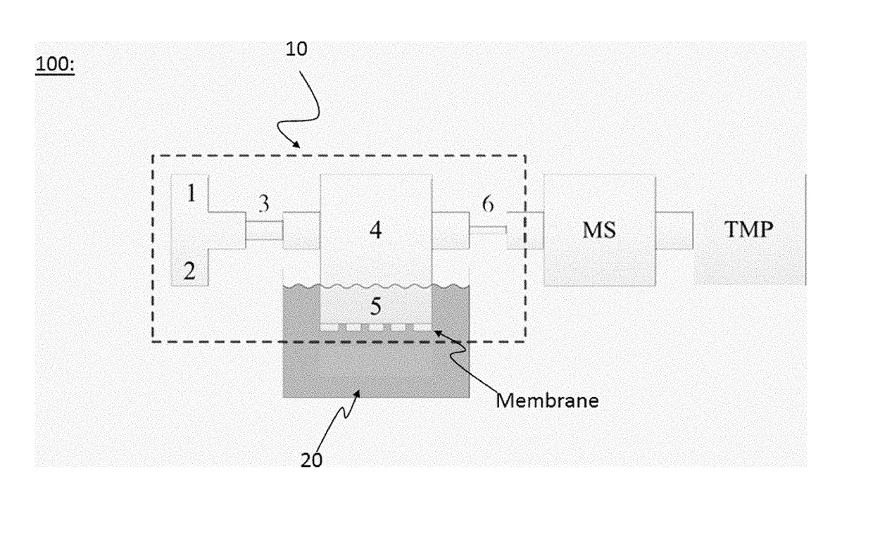 Device for extracting volatile species from a liquid