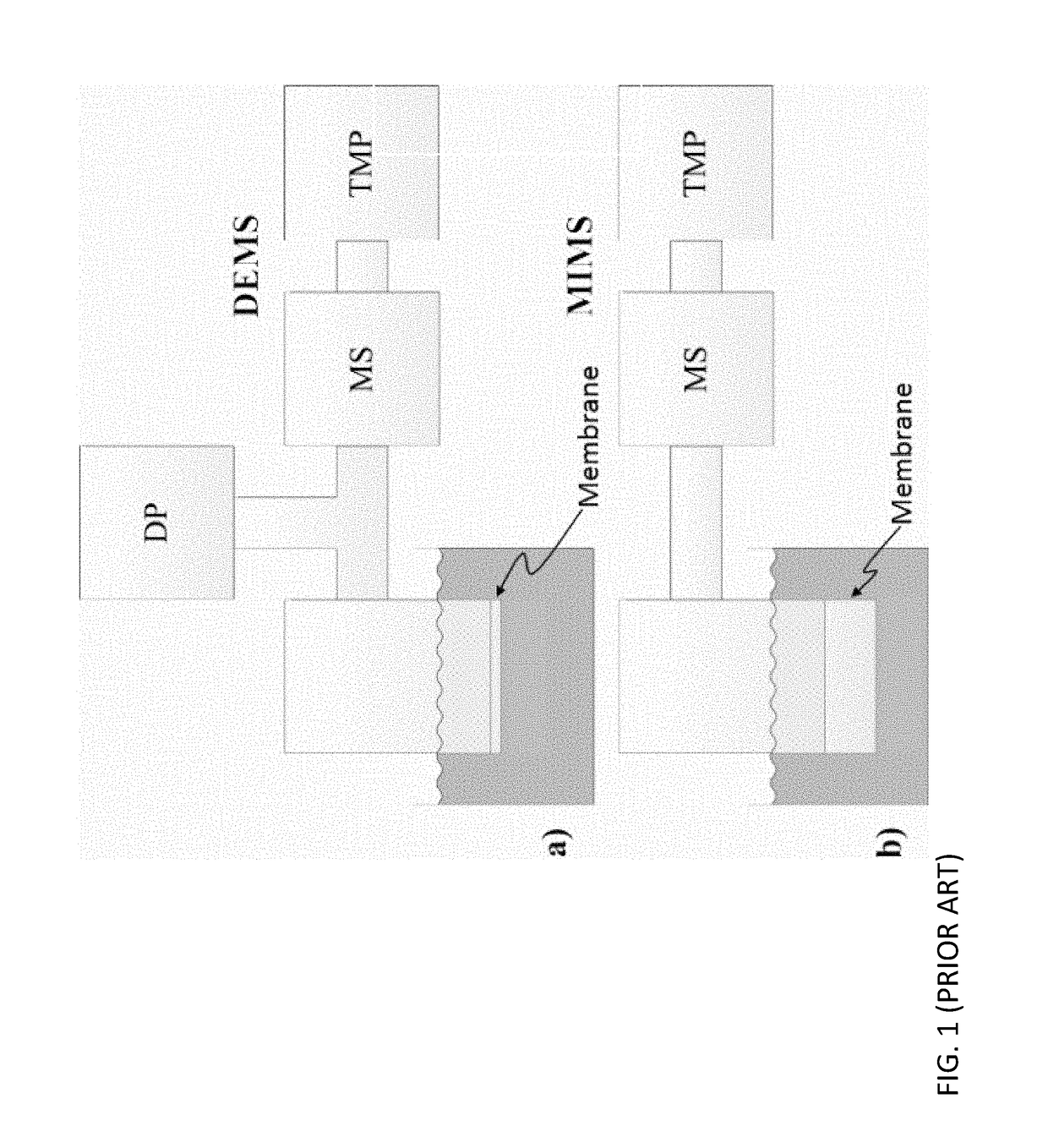 Device for extracting volatile species from a liquid