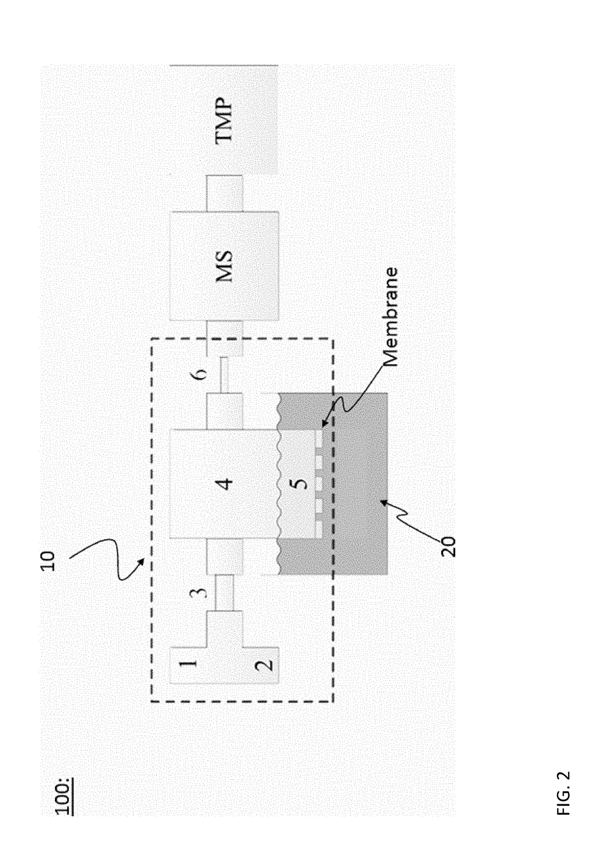 Device for extracting volatile species from a liquid