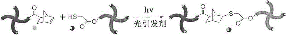 Degradable shape memory high polymer material of regular network structure and preparation method therefor