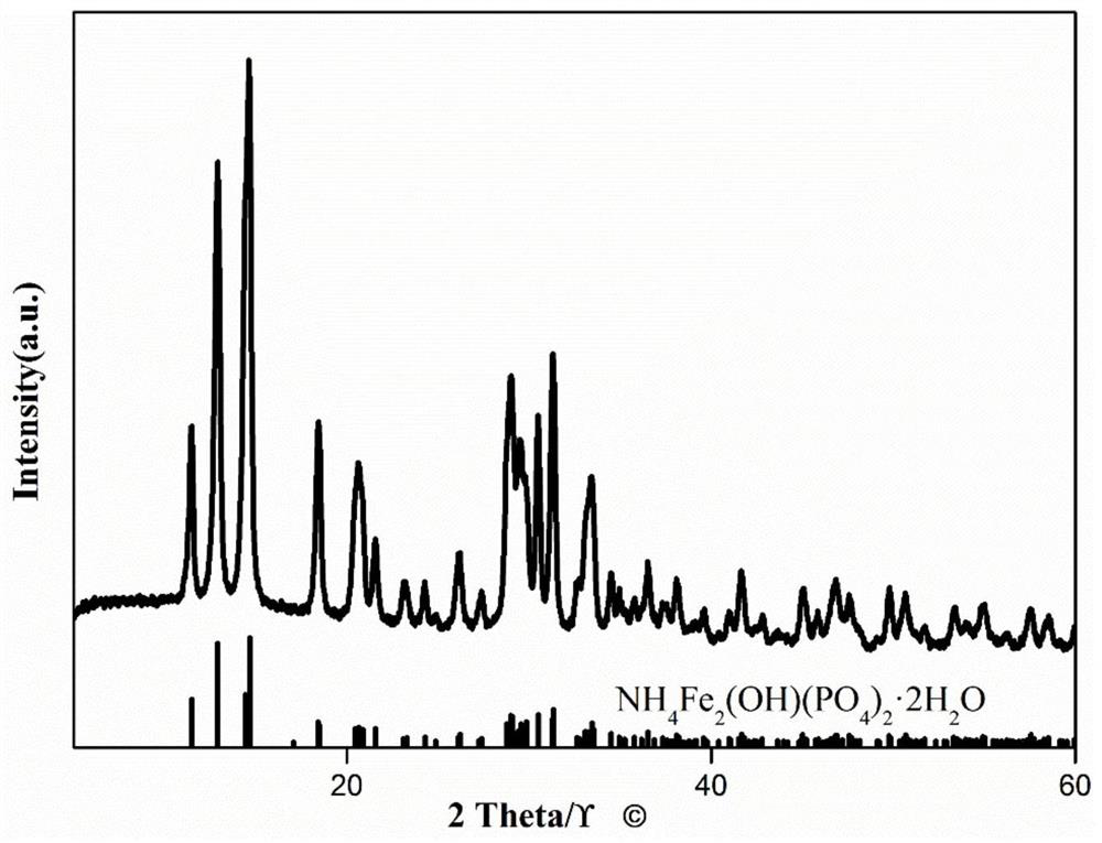 Preparation method and application of iron phosphate