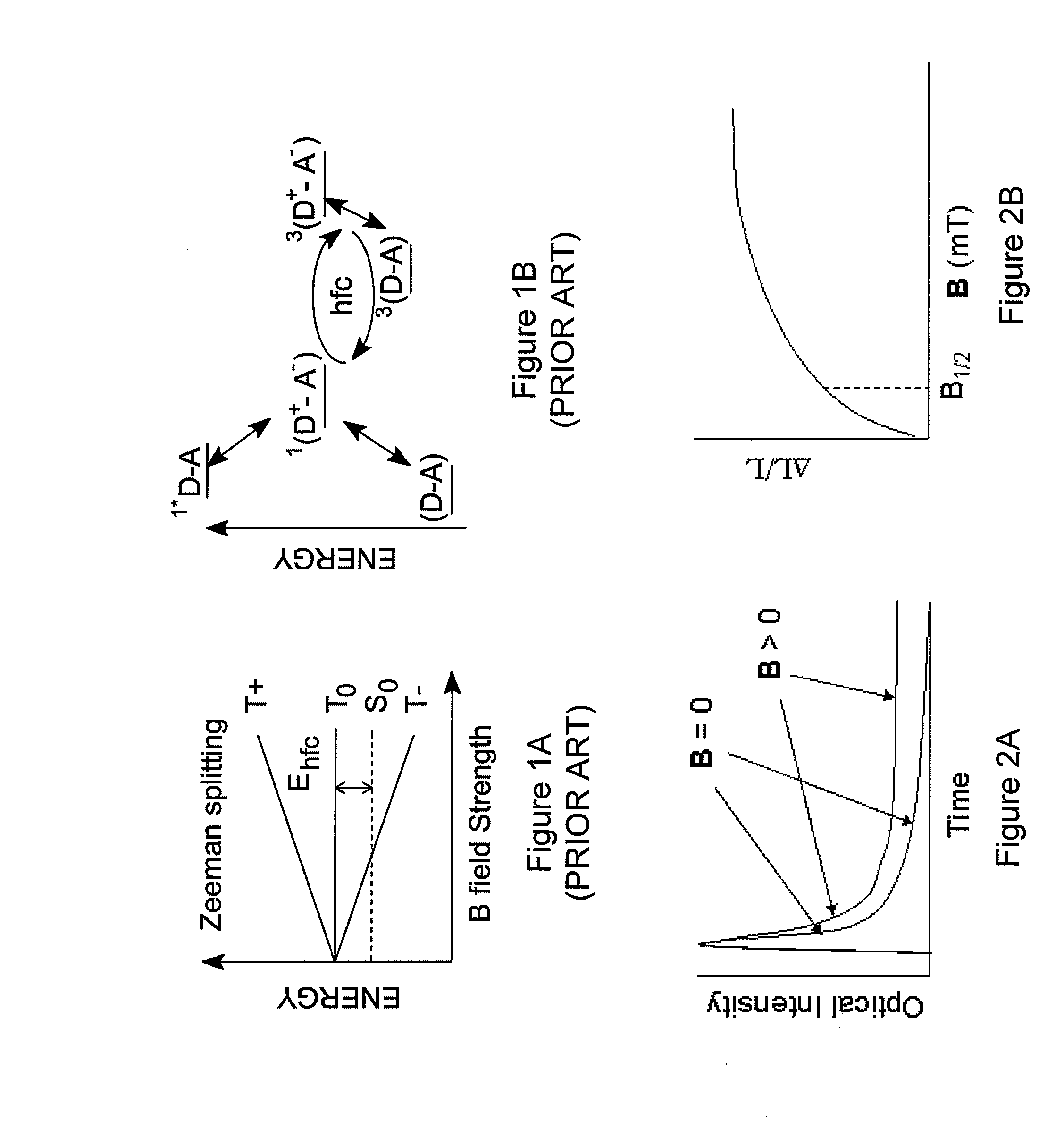 Hybridized optical-MRI method and device for molecular dynamic monitoring of in vivo response to disease treatment