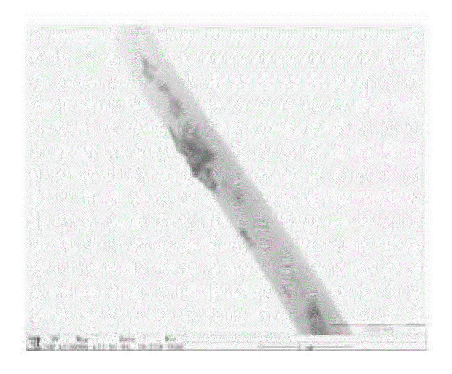 In-situ preparation method for cadmium telluride/polyvinyl alcohol fluorescent fiber