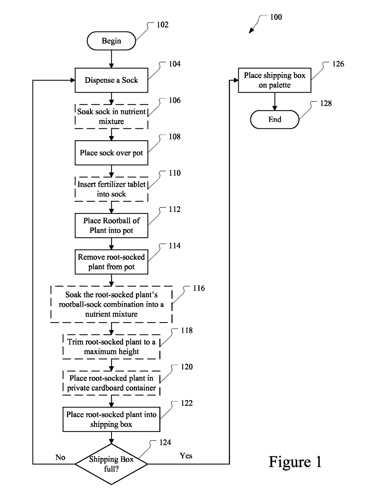 Root socking process and distribution