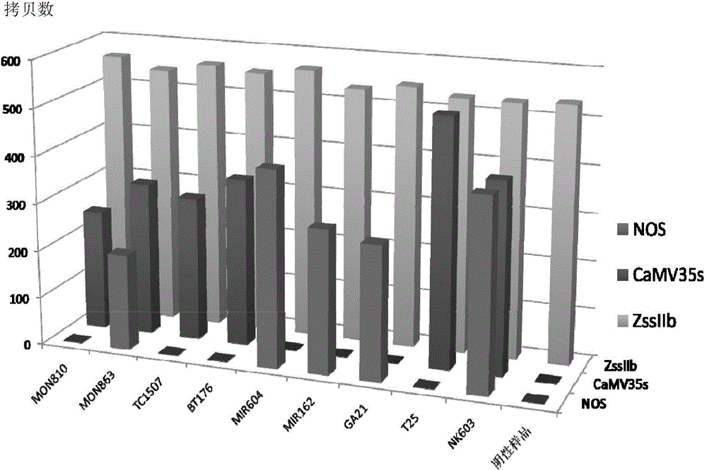 Digital PCR (polymerase chain reaction) detection method for transgenic components