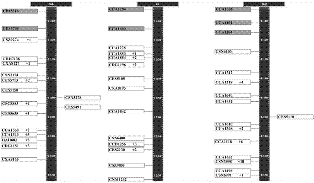 A multi-runway airport entering-flight multi-efficiency optimization ordering method