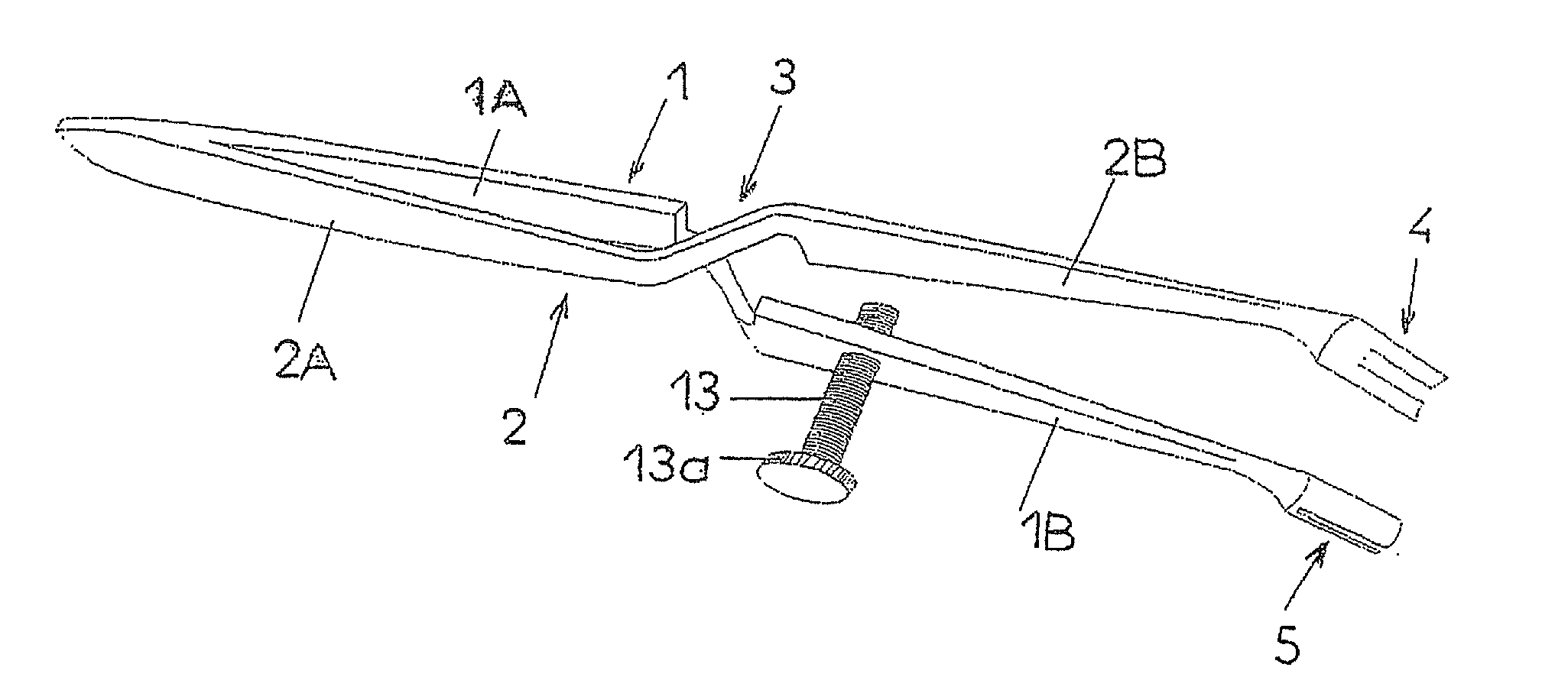 Forceps for gripping and transporting small objects, usable in particular in dental surgery