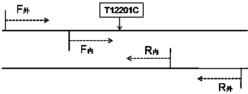 Kit for detecting mutation of mitochondria T12201C related with epicophosis and application