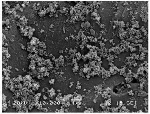 Preparation method of iron-manganese bimetal composite catalyst and application thereof in the purification of industrial waste water